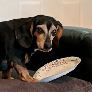 Meet your Posher, Veronica